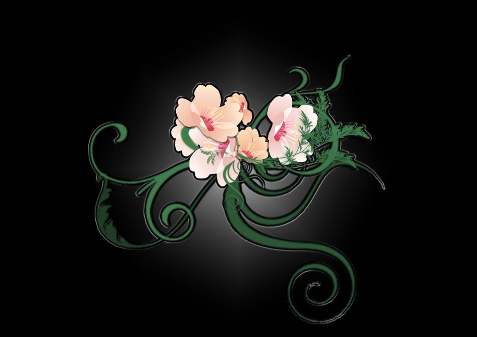 drawing of flower ornamental blossom
