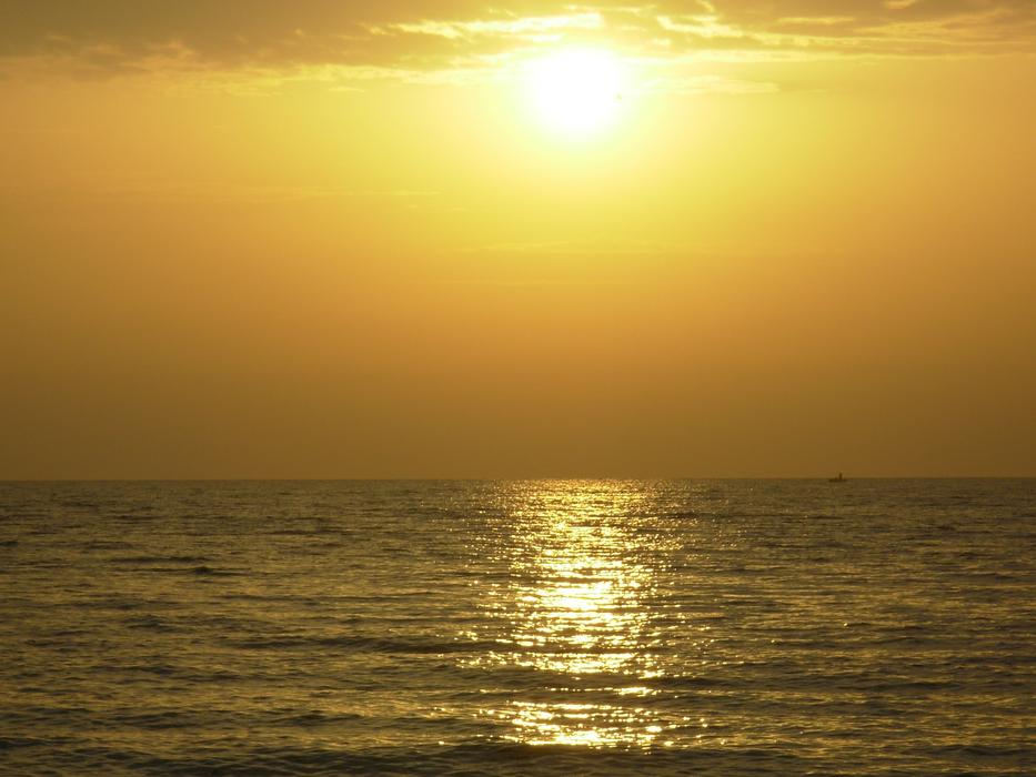 Sun Sea