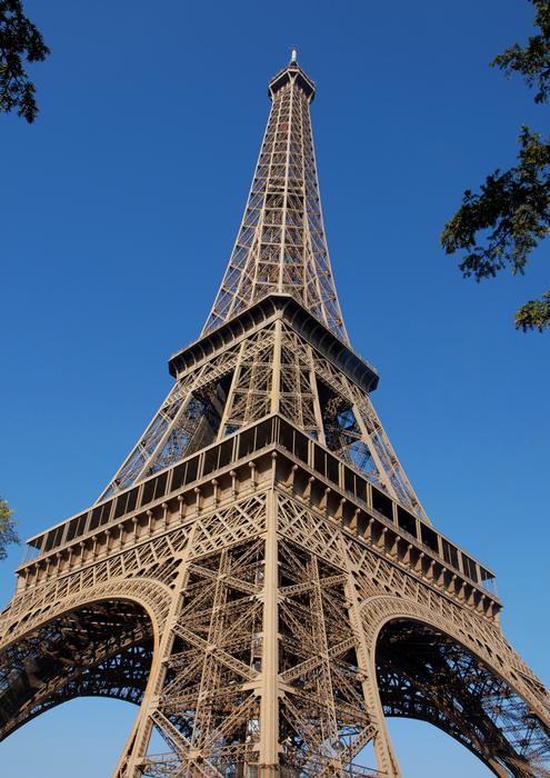 The Eiffel Tower View