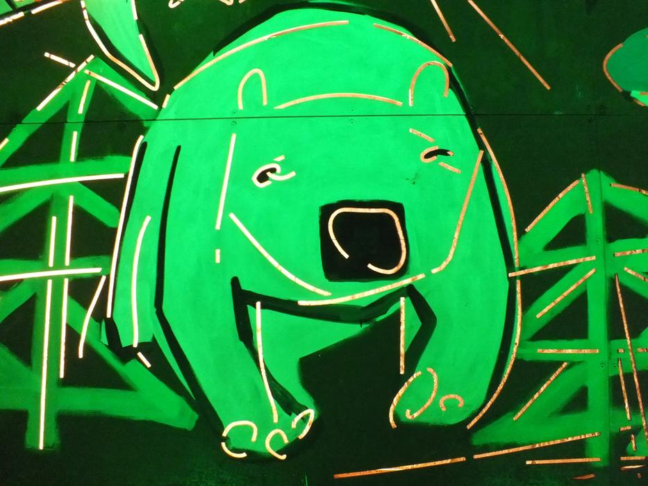 Graffiti Neon The Bear Czech