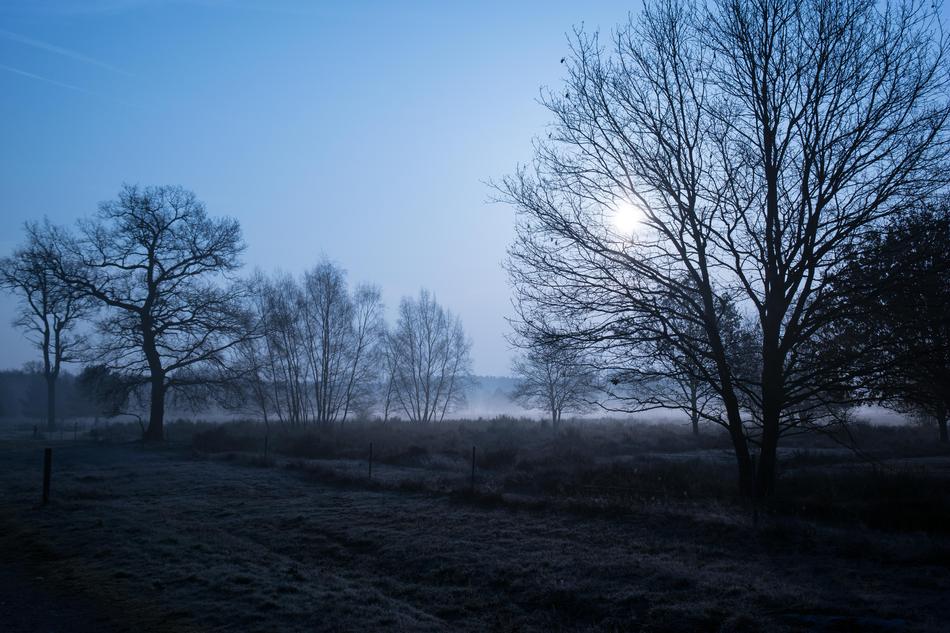 Morgenstimmung Heide Wahner Pagan