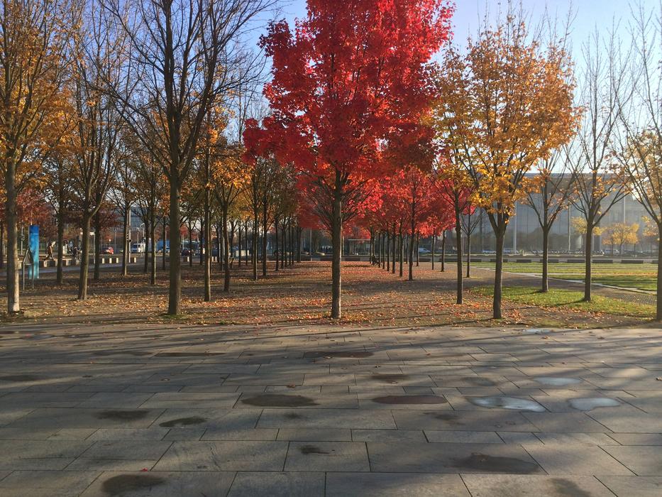 Autumn Berlin Germany Fall