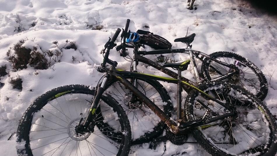 Bicycles In The
