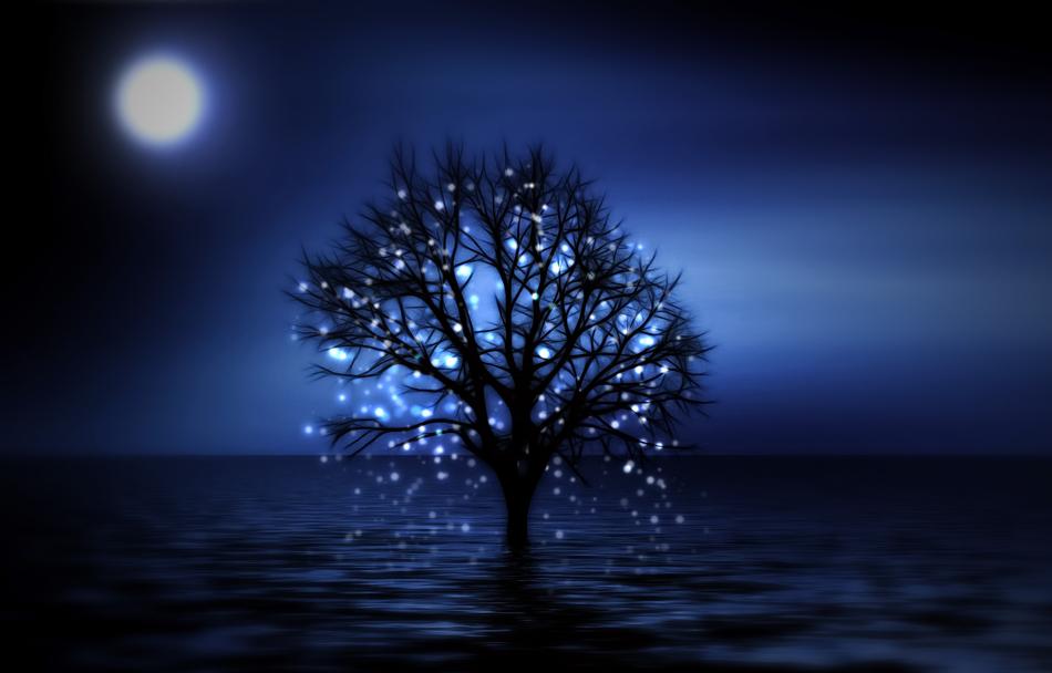 tree night snowflake month light