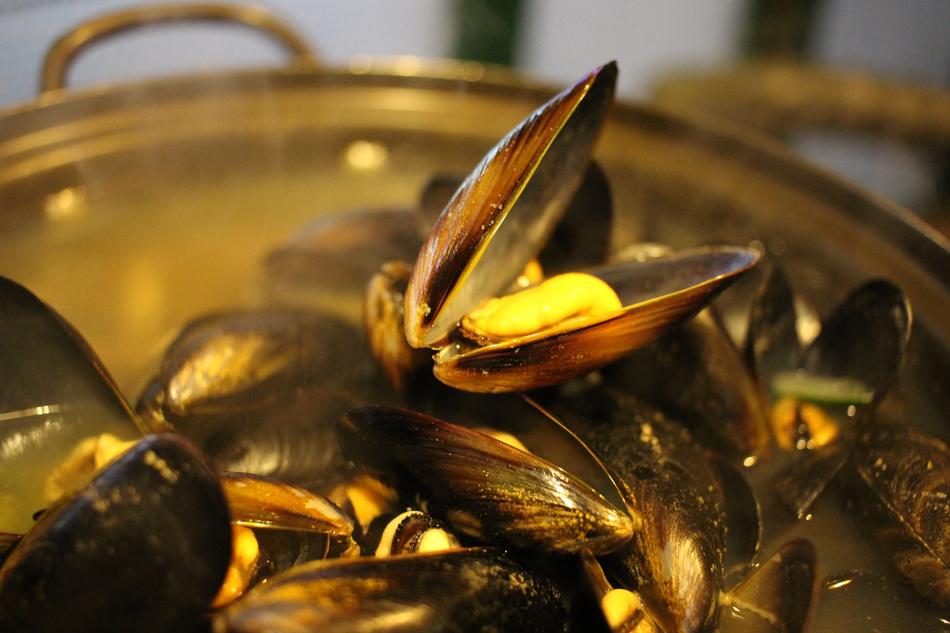 Mussels In Bath Wall Buch Seashell