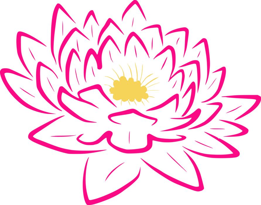 Water lily flower, magenta outline free image download