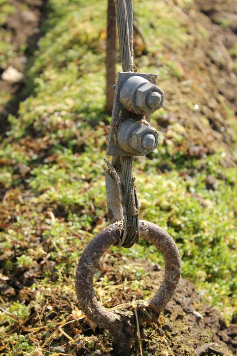 metal Hops Anchor on Field