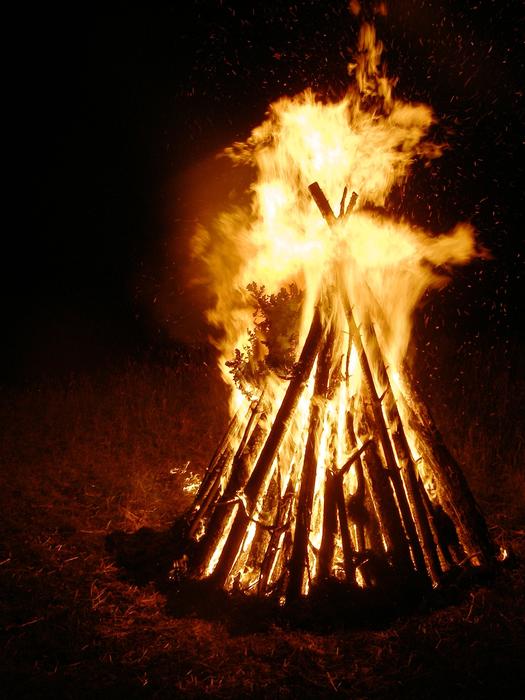 burning a large fire in the forest