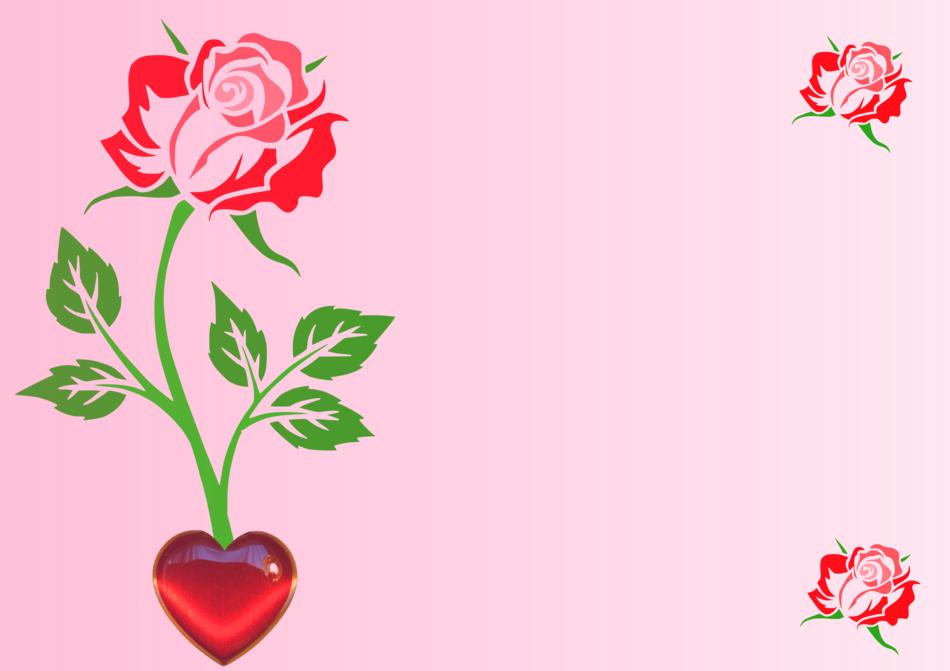 flower rose heart kind regards