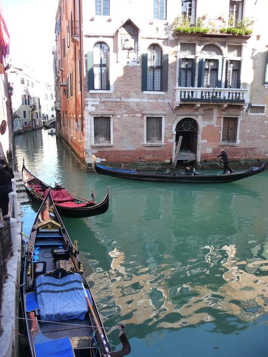 Gondolas standing in the canals of the city