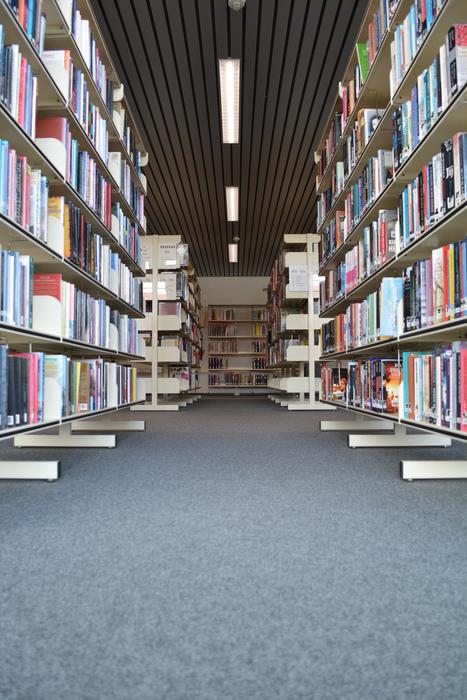 Books Library Read