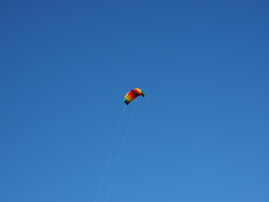 Dragons Kite Flying