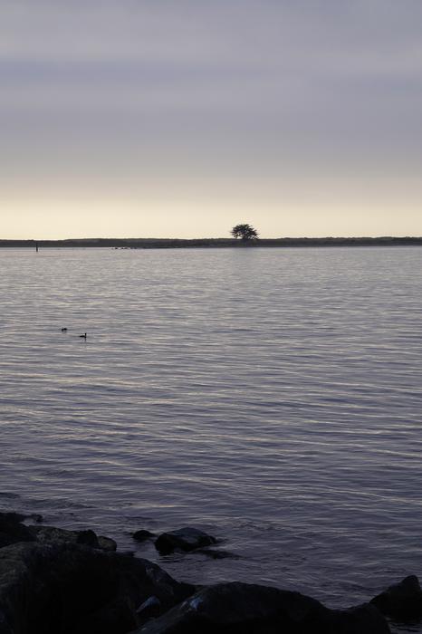 Humboldt Bay Gray Day
