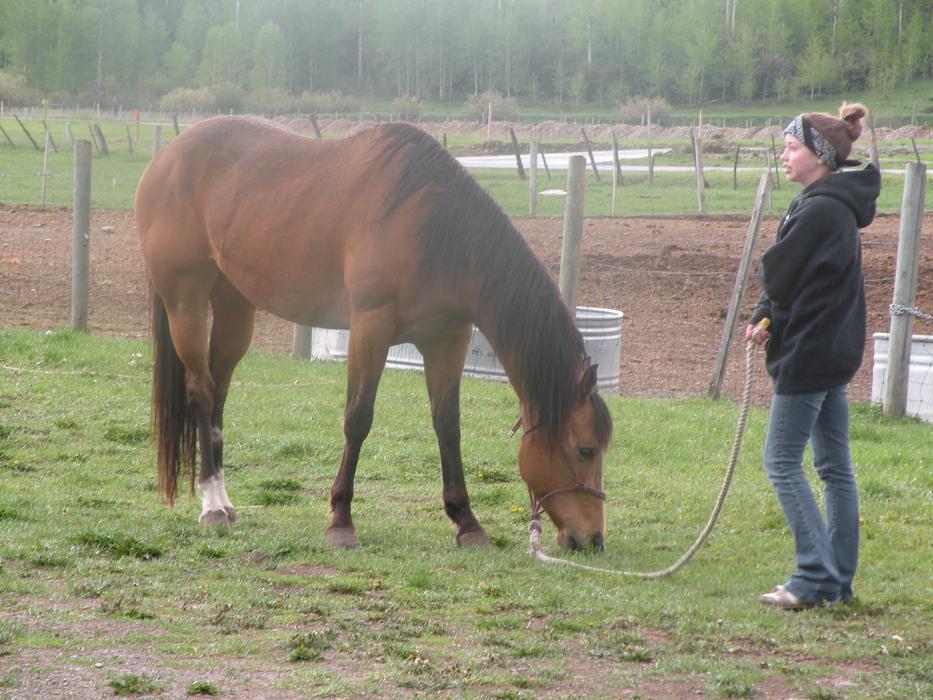 Valerie Horse