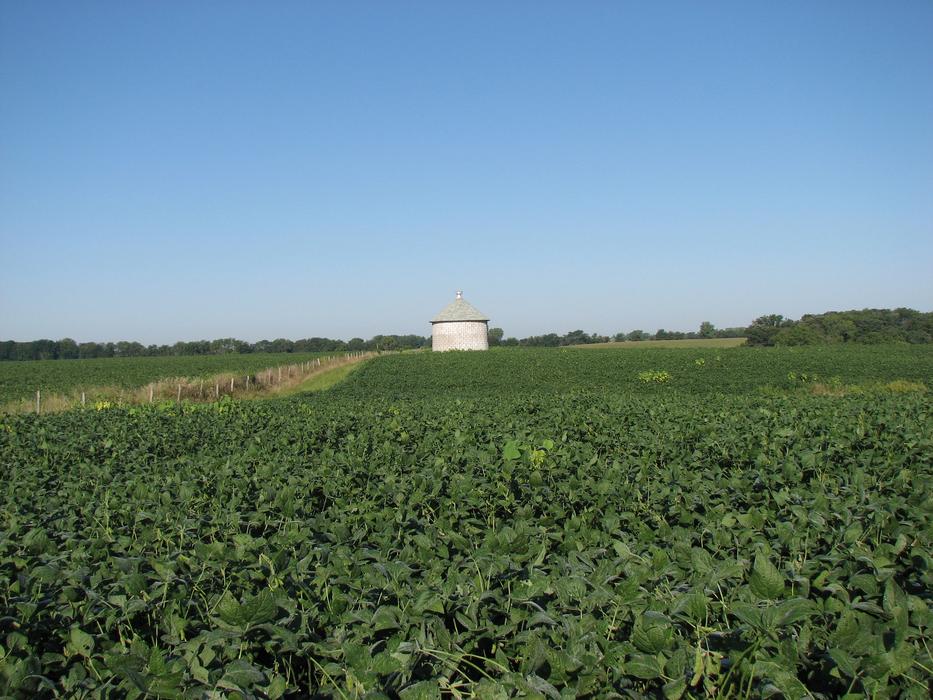Soybean Field Silo