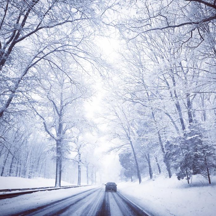 Winter Drive Tree