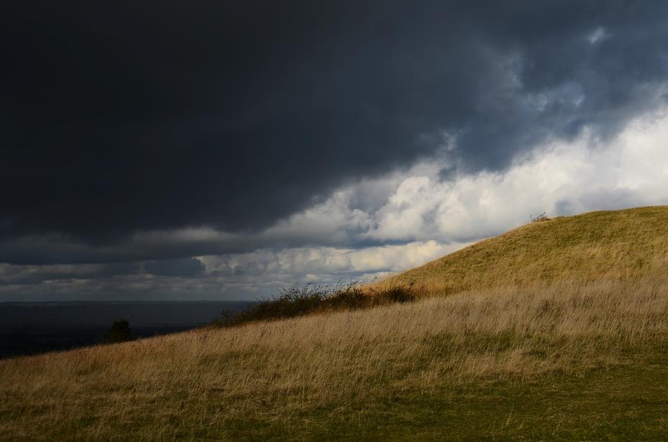 Dry field under the gray clouds of the sky