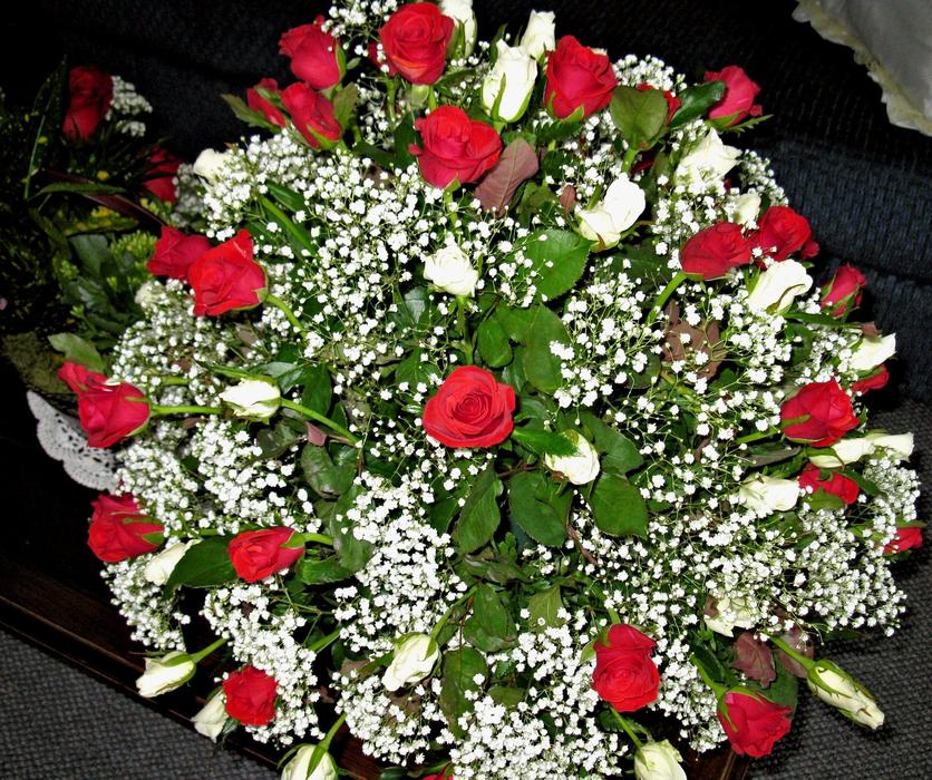 Red Roses White Baby'S