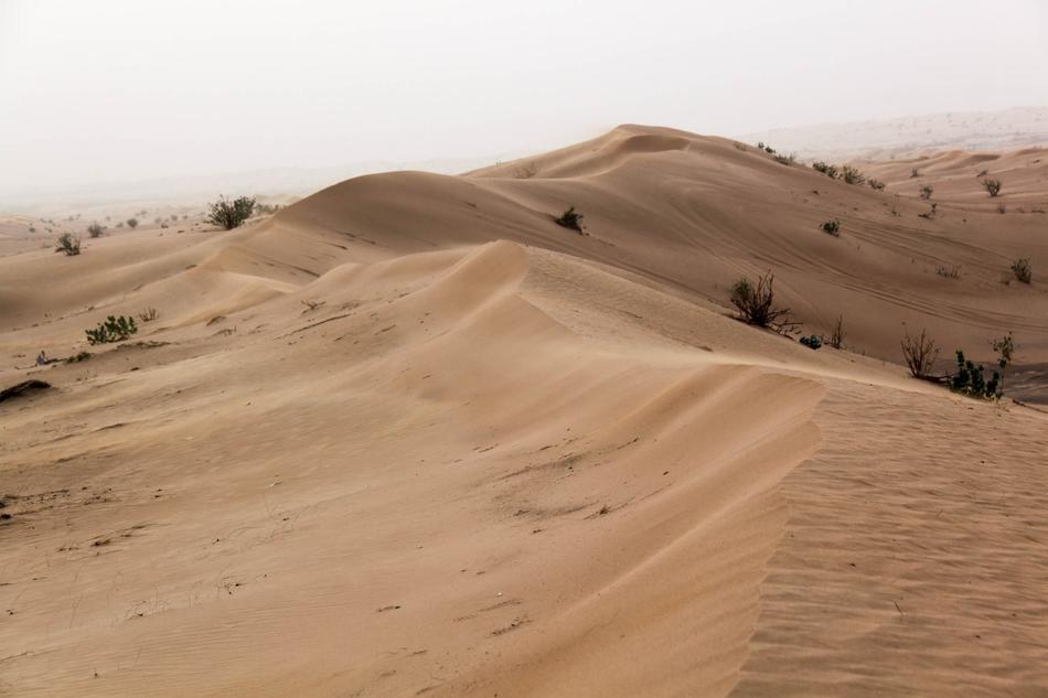 Desert Sand Thin