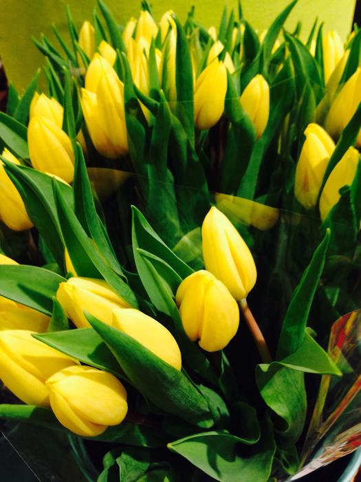 yellow tulips bouquet basket bouquet