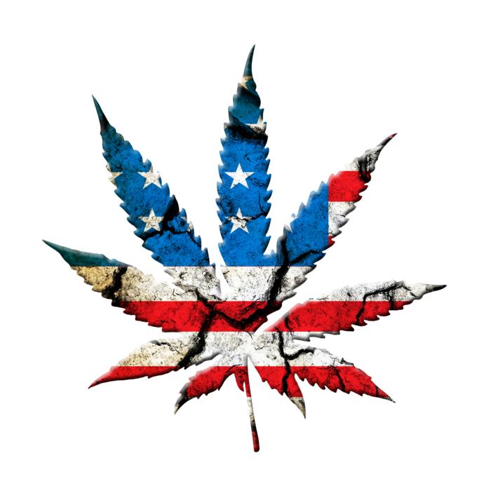 marijuana leaf the flag graphic