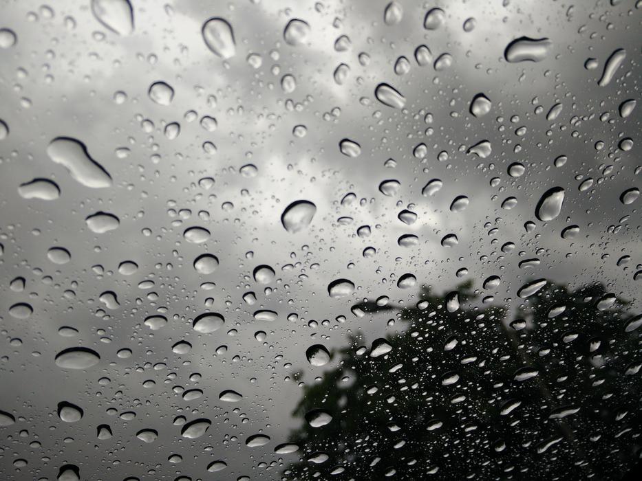 Drops Rain Rainy Day