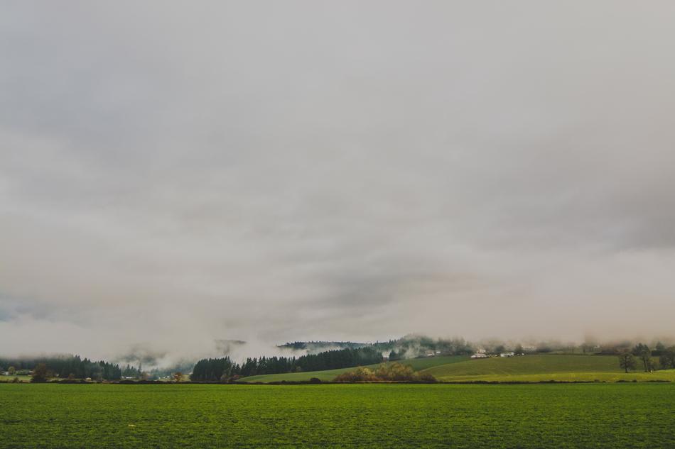 Rural Countryside Fields