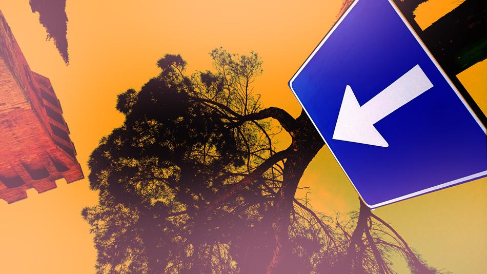 Roadsign Arrow One Way Color