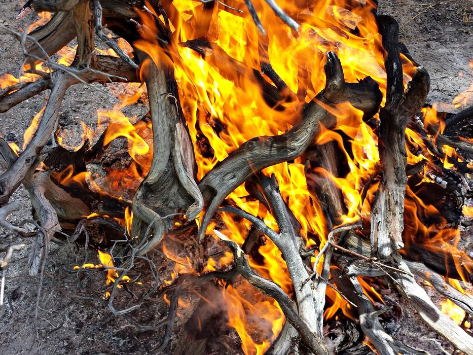 Fire Wood Burn Combustion