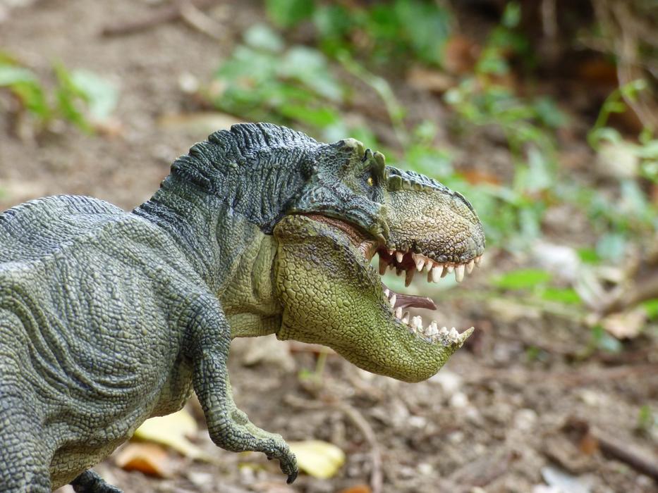 Tyrannosaurus Dinosaur Prehistory