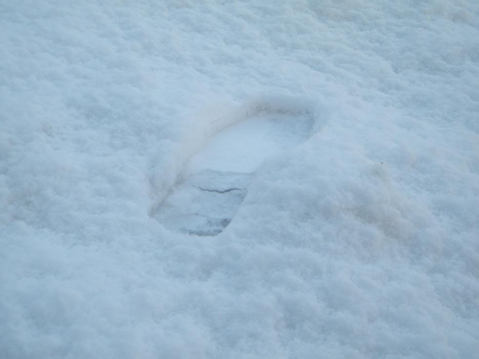 Footprint Shoe Foot