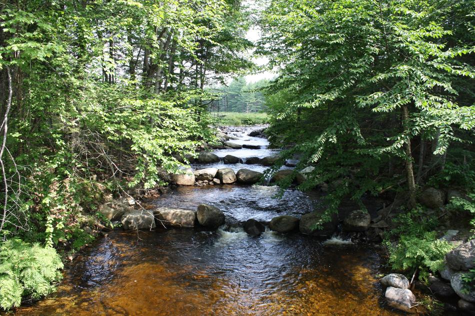 Fishway Fish Ladder Pass