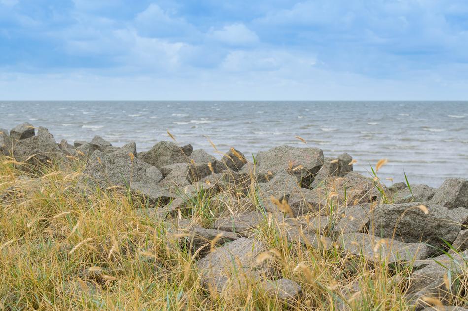 Coast Stand North Sea