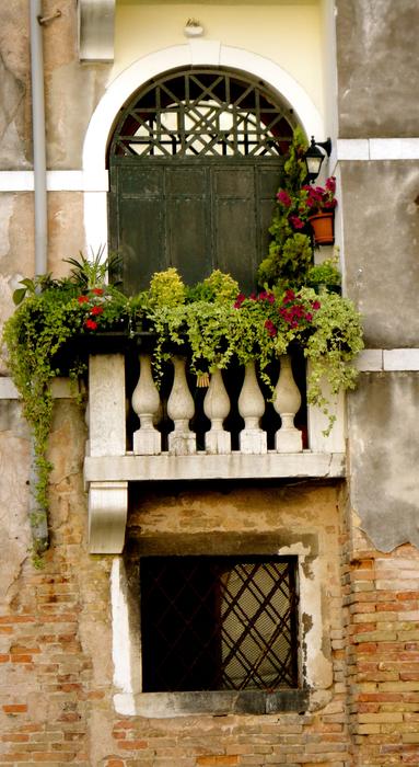 Window Venetian