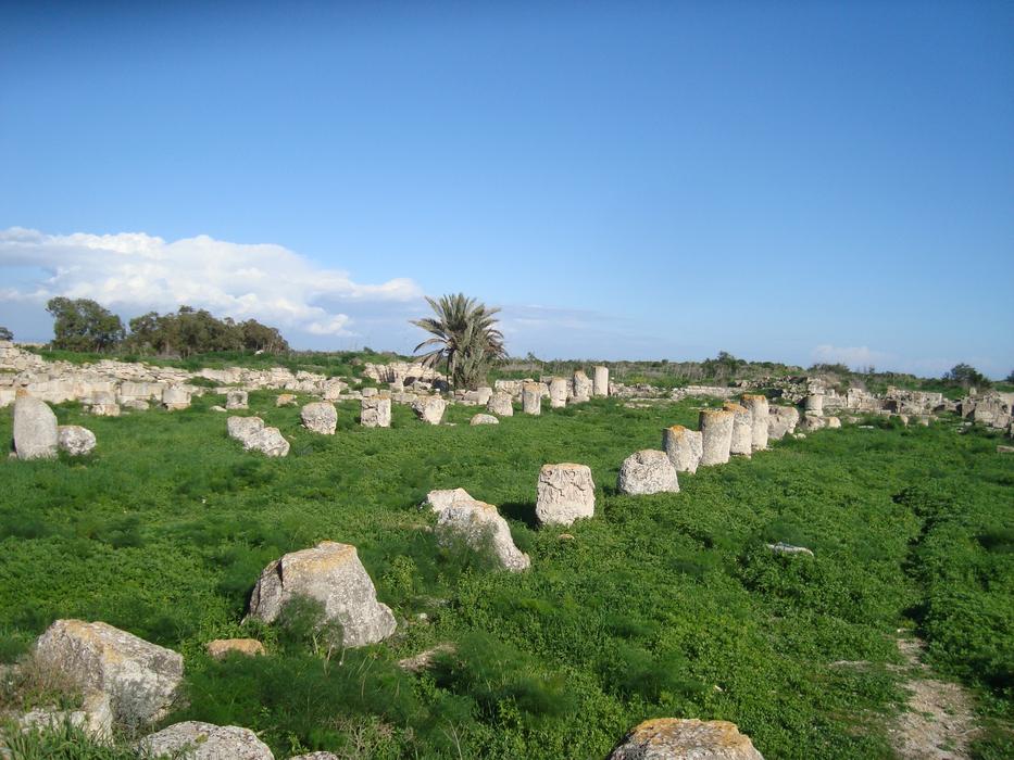 Stone ruins in a green field