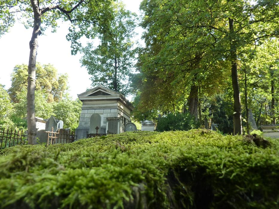 Cemetery Foam scenery