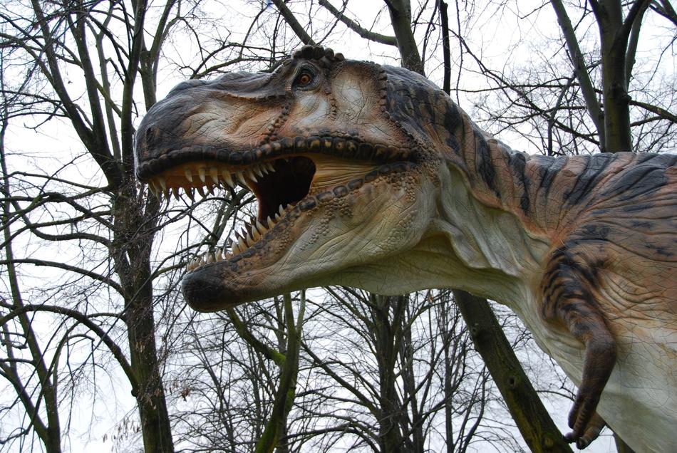 T-Rex Dinosaurs Teeth Monza