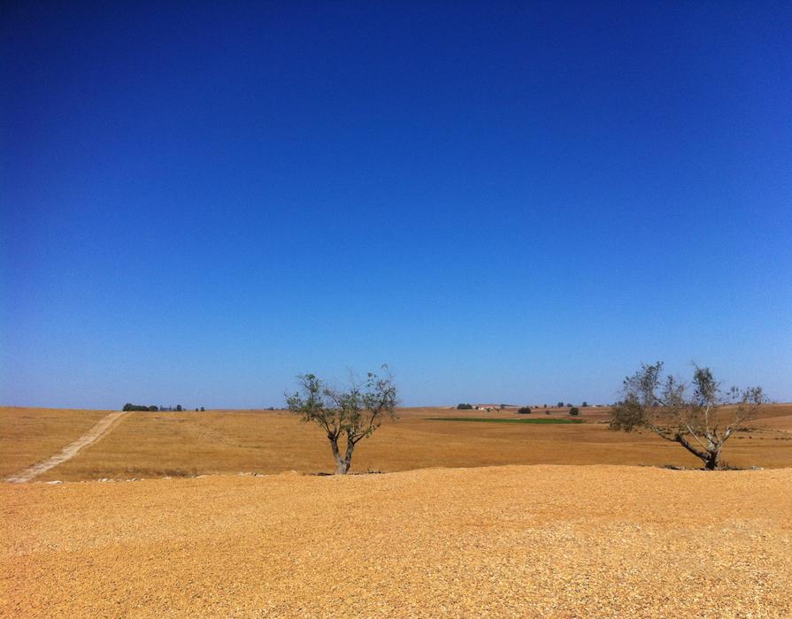 Castro Verde Beja Alentejo