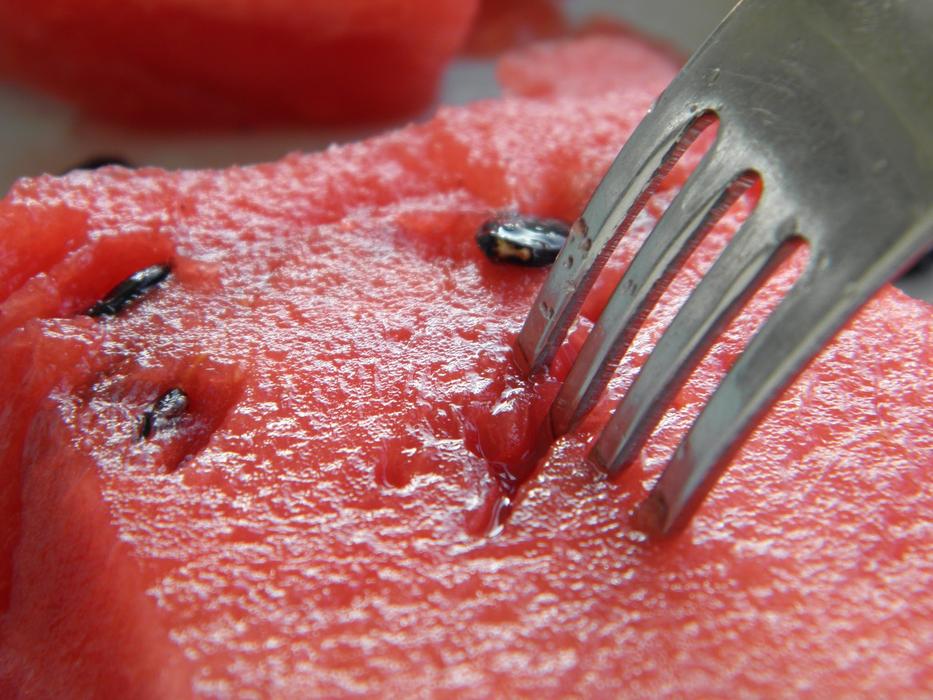 macro view of fork in Watermelon