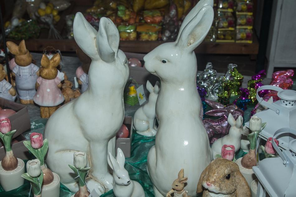 Lots of bunny figures in the window