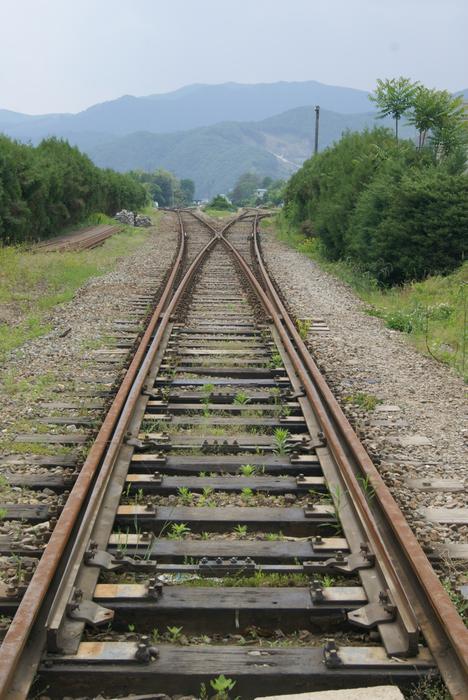 Train The Path