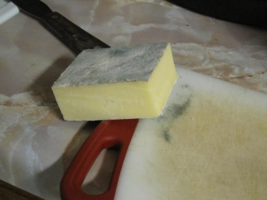 Mold On
