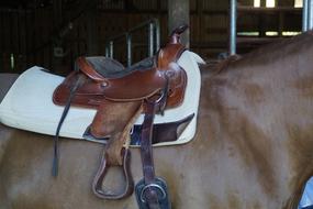 Saddle Western Saddled