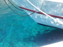 Sea