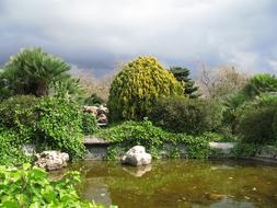 Park Lake Sky