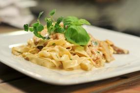 Pasta Mushrooms Basil