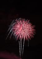 Fireworks Dreams New Year