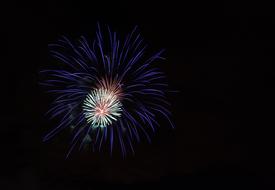 Wishes New Year