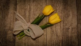 yellow tulips tied with ribbon