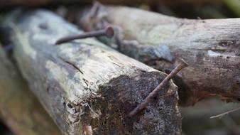 Wood Nails Macro